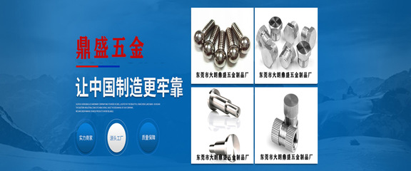 東莞市大朗鼎盛五金制品廠