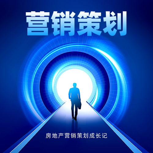 房地產(chǎn)營銷策劃成長記 從拓荒時代到精細(xì)化運(yùn)營的蛻變之路
